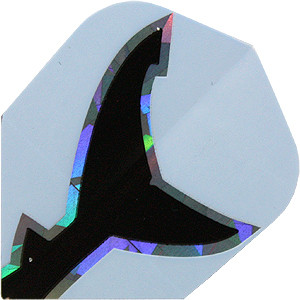 Hologram