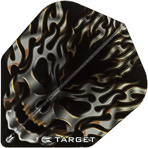 TARGET Pro 100 VISION No6